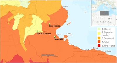 Soil Bacteria Isolated From Tunisian Arid Areas Show Promising Antimicrobial Activities Against Gram-Negatives